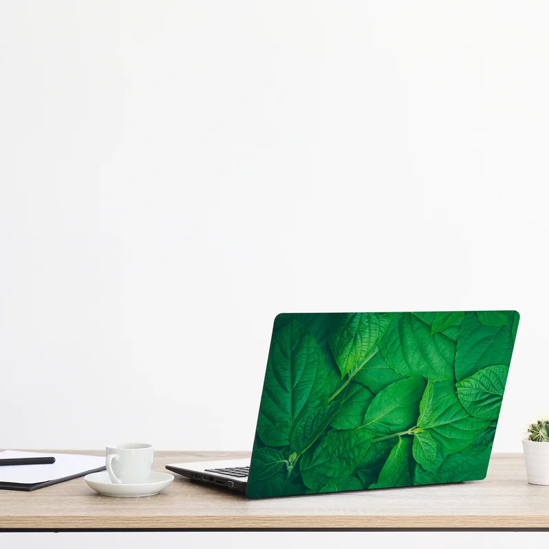 Laptop-Aufkleber saftige grüne blätter