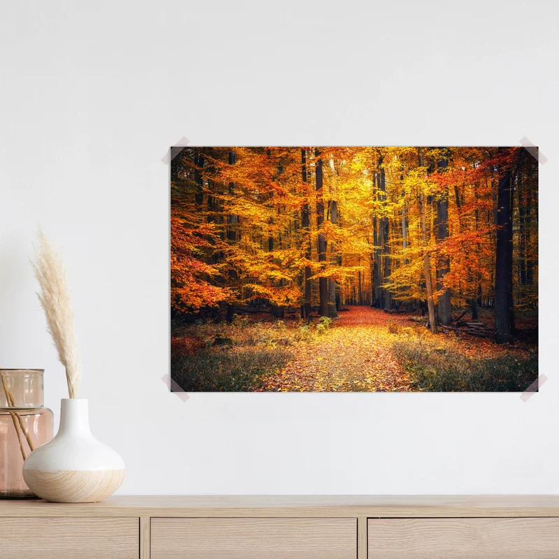 Poster herbstlicher waldpfad mit goldenen blättern Poster herbstlicher waldpfad mit goldenen blättern
