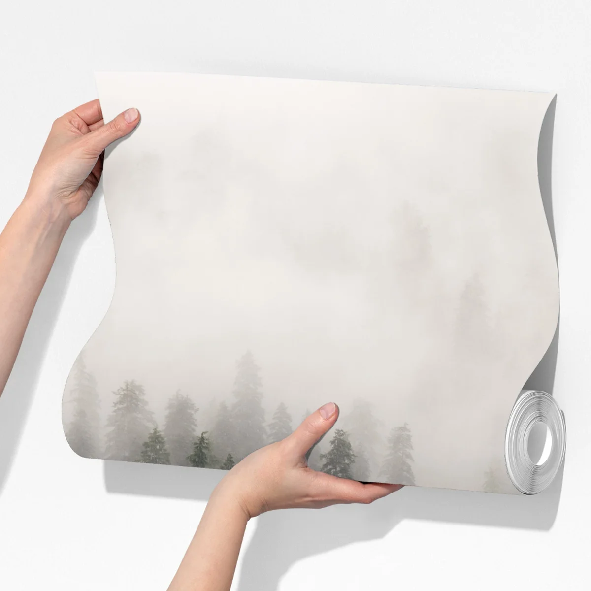 Fototapete nebliger küstenwald, British Columbia Fototapete nebliger küstenwald, British Columbia