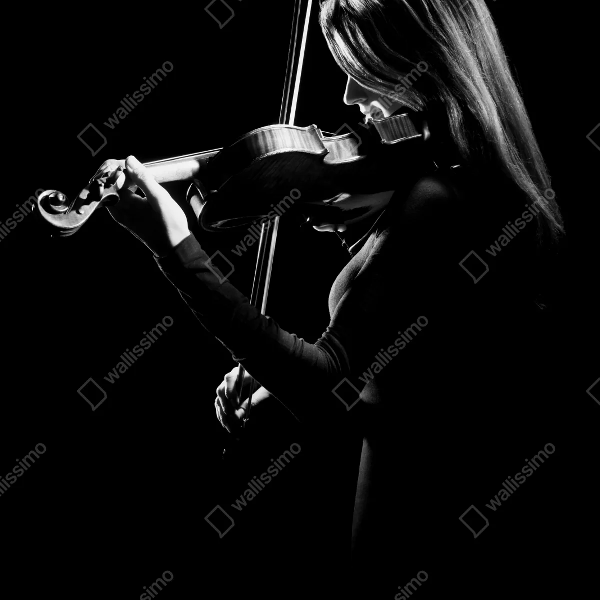 Kühlschrankaufkleber elegante geigerin silhouette Kühlschrankaufkleber elegante geigerin silhouette