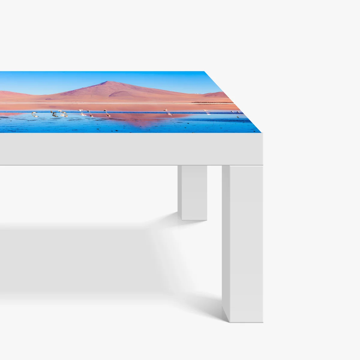 Tischaufkleber und Schreibtischaufkleber flamingos am Laguna Colorada, Bolivien Tischaufkleber und Schreibtischaufkleber flamingos am Laguna Colorada, Bolivien