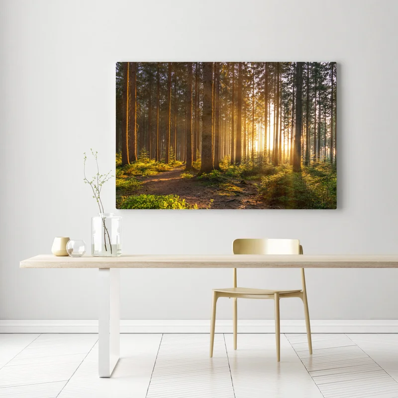 Leinwandbild sonnenbeschienener waldweg am morgen Leinwandbild sonnenbeschienener waldweg am morgen