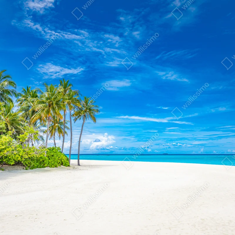 Fototapete tropischer strand mit palmen Fototapete tropischer strand mit palmen