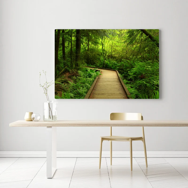 Leinwandbild ruhiger grüner waldsteg Leinwandbild ruhiger grüner waldsteg