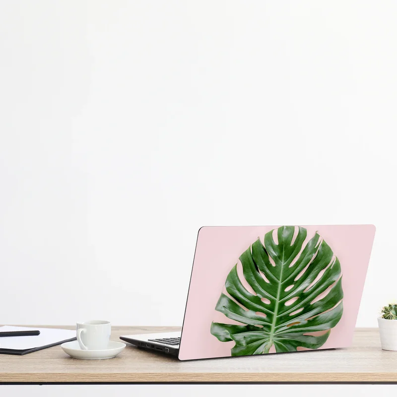 Naklejka na laptopa liść monstera na pastelowym różowym tle Naklejka na laptopa liść monstera na pastelowym różowym tle