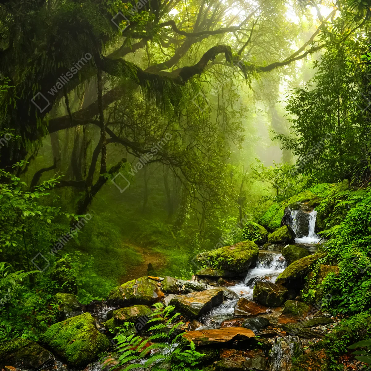 Fototapete üppiger nebliger waldwasserfall Fototapete üppiger nebliger waldwasserfall