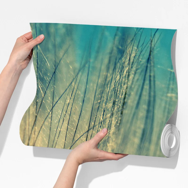 Fototapeta delikatne zbliżenie mlecza w miękkim niebieskim Fototapeta delikatne zbliżenie mlecza w miękkim niebieskim