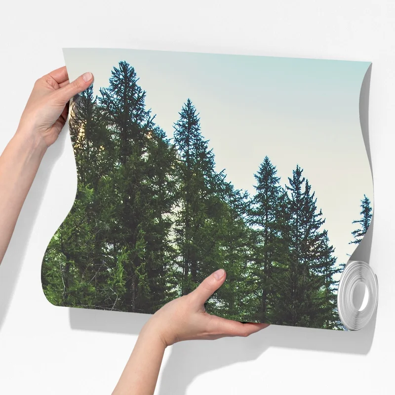 Fototapete malerischer alpiner fluss im Ferret Valley Fototapete malerischer alpiner fluss im Ferret Valley