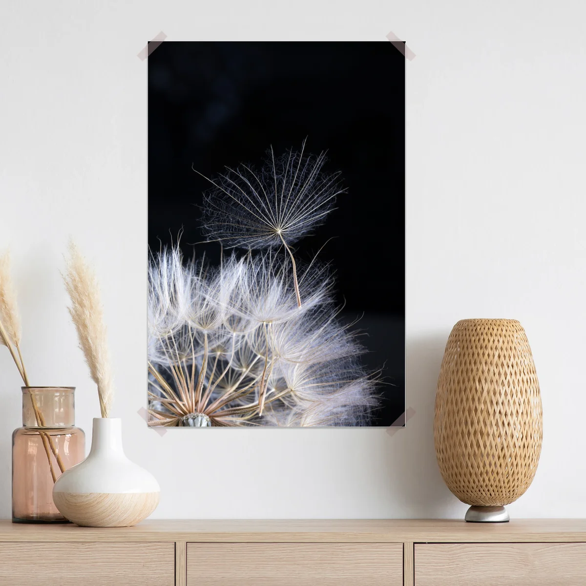 Poster zarter löwenzahnsamen auf schwarzem hintergrund Poster zarter löwenzahnsamen auf schwarzem hintergrund