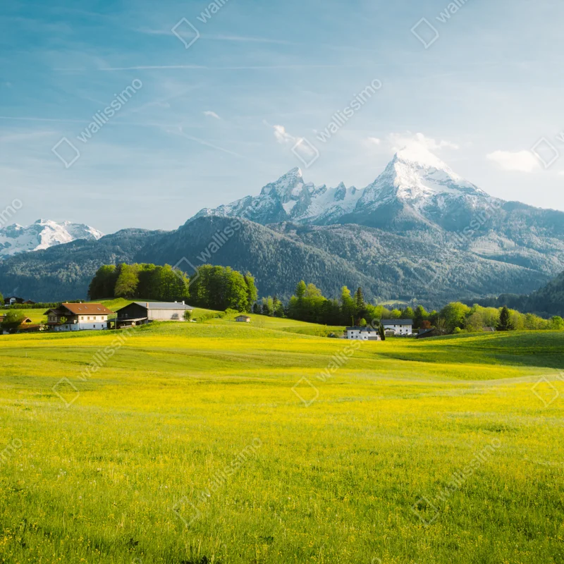 Leinwandbild alpwiese unter schneebedeckten gipfeln Leinwandbild alpwiese unter schneebedeckten gipfeln