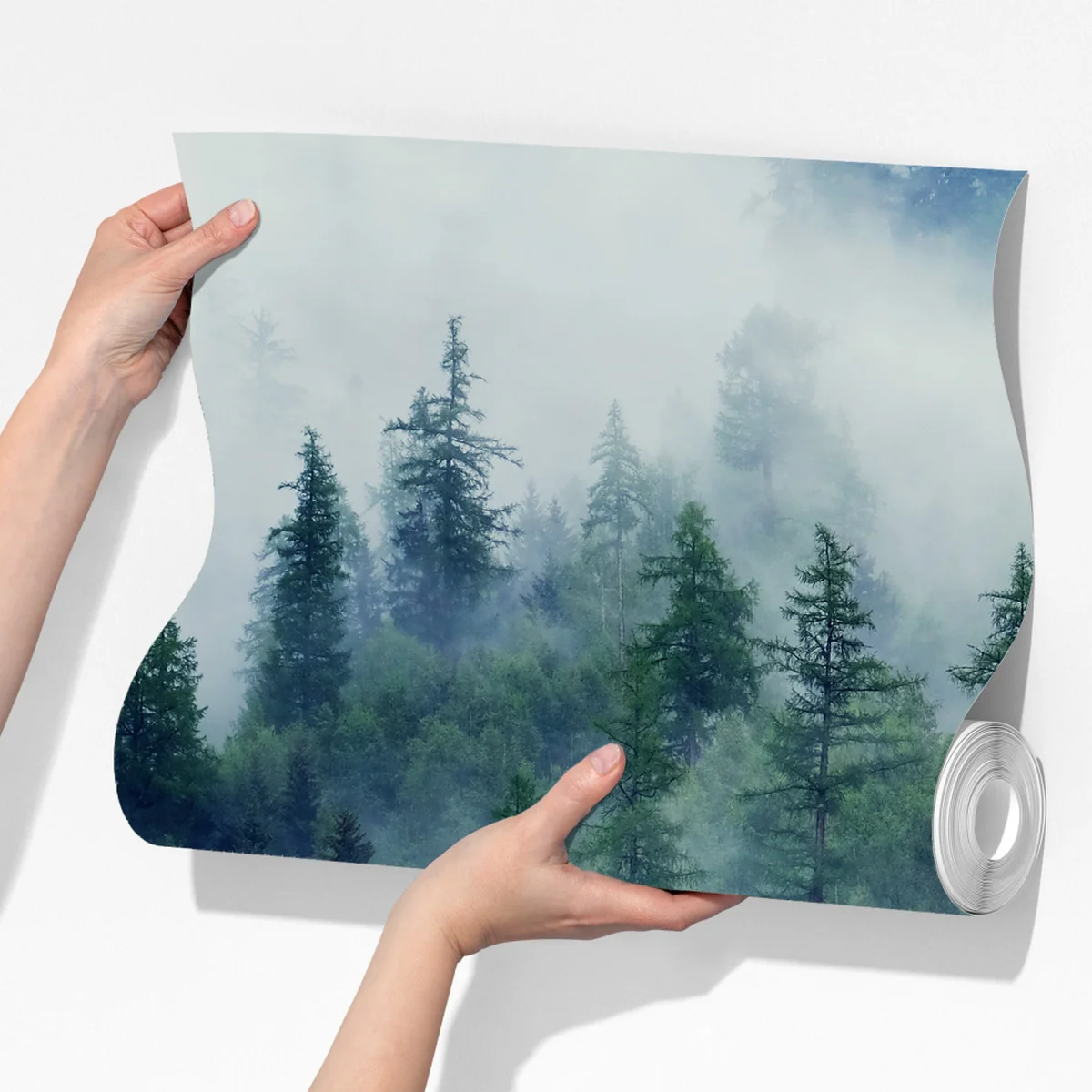 Fototapeta mglisty zielony las Fototapeta mglisty zielony las