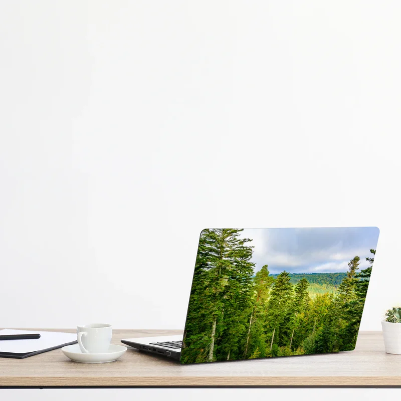 Laptop-Aufkleber Schwarzwald herbstliche waldlandschaft