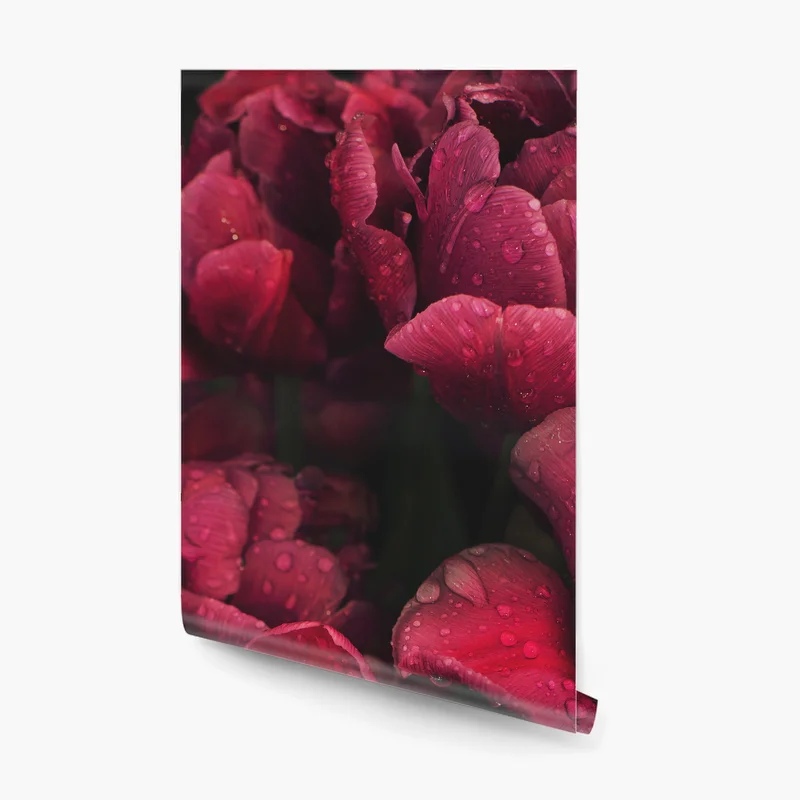 Fototapete tiefrote blüten mit wassertropfen Fototapete tiefrote blüten mit wassertropfen