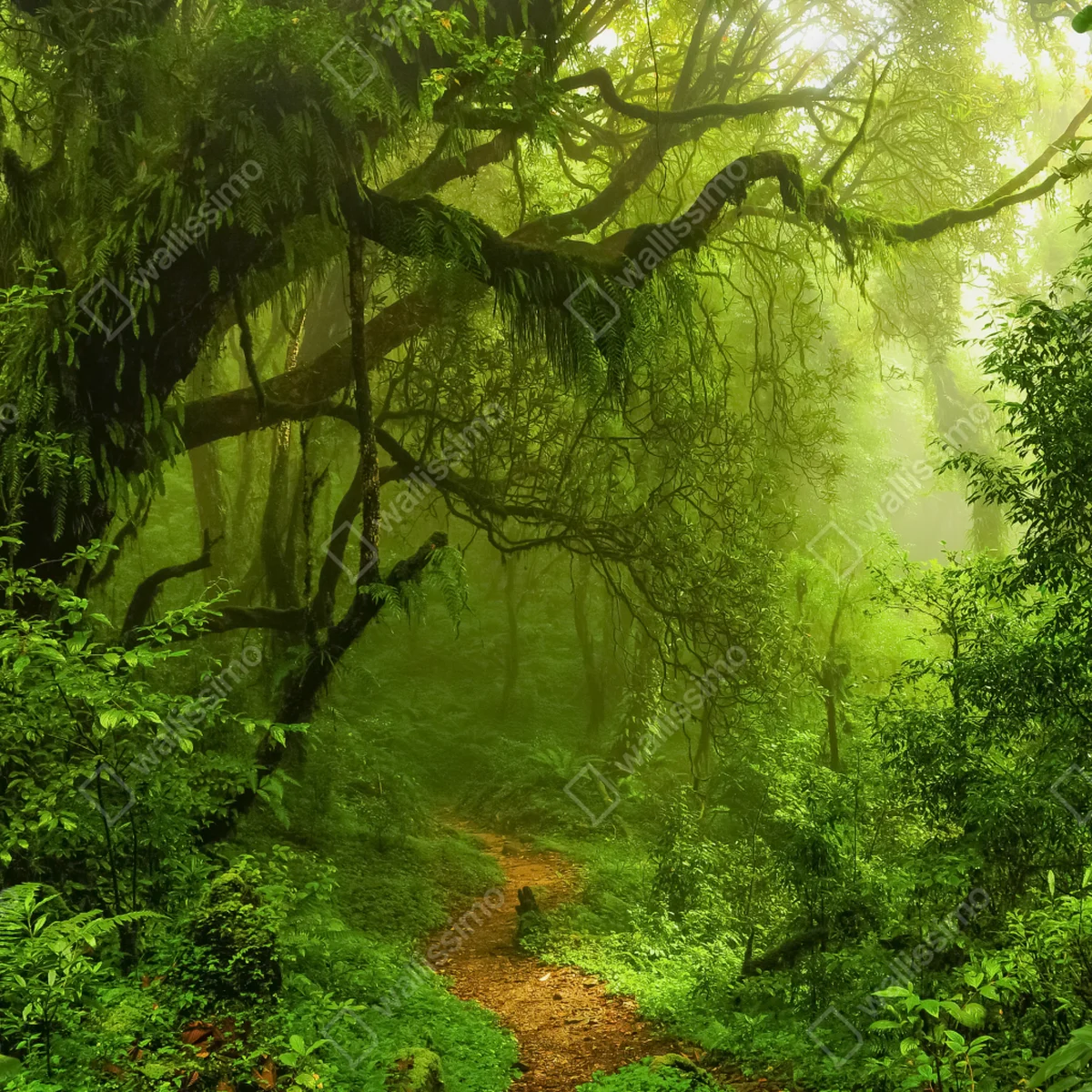 Repositionierbarer Aufkleber üppiger grüner waldpfad Repositionierbarer Aufkleber üppiger grüner waldpfad