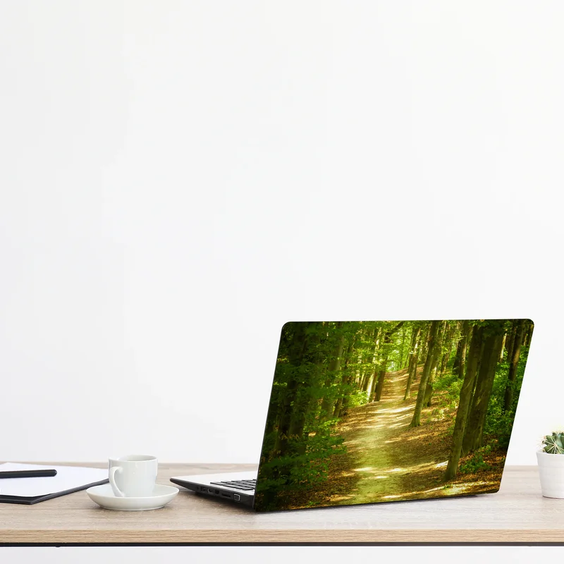 Naklejka na laptopa słoneczna leśna ścieżka