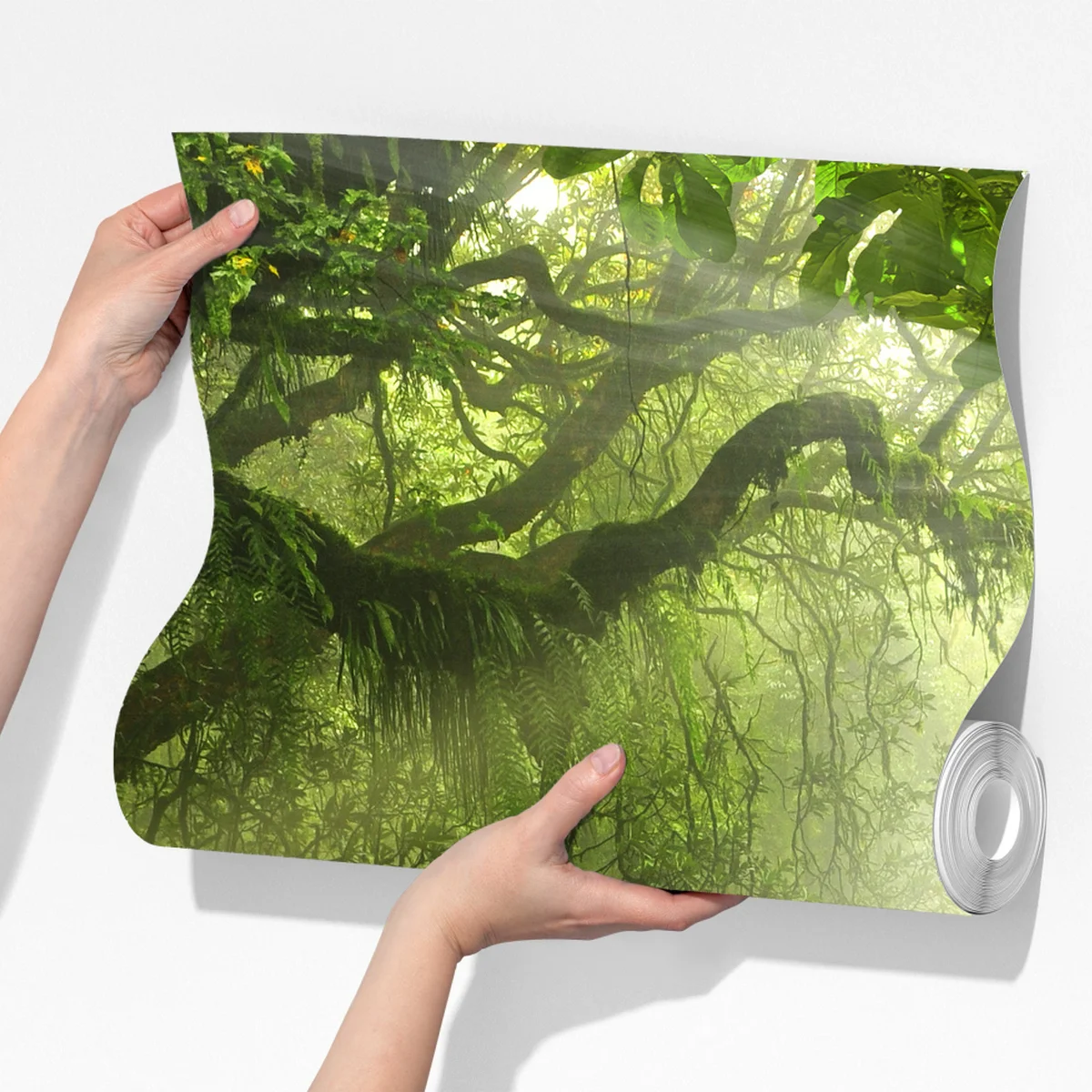 Fototapete sonnenbeschienener moosiger waldpfad Fototapete sonnenbeschienener moosiger waldpfad