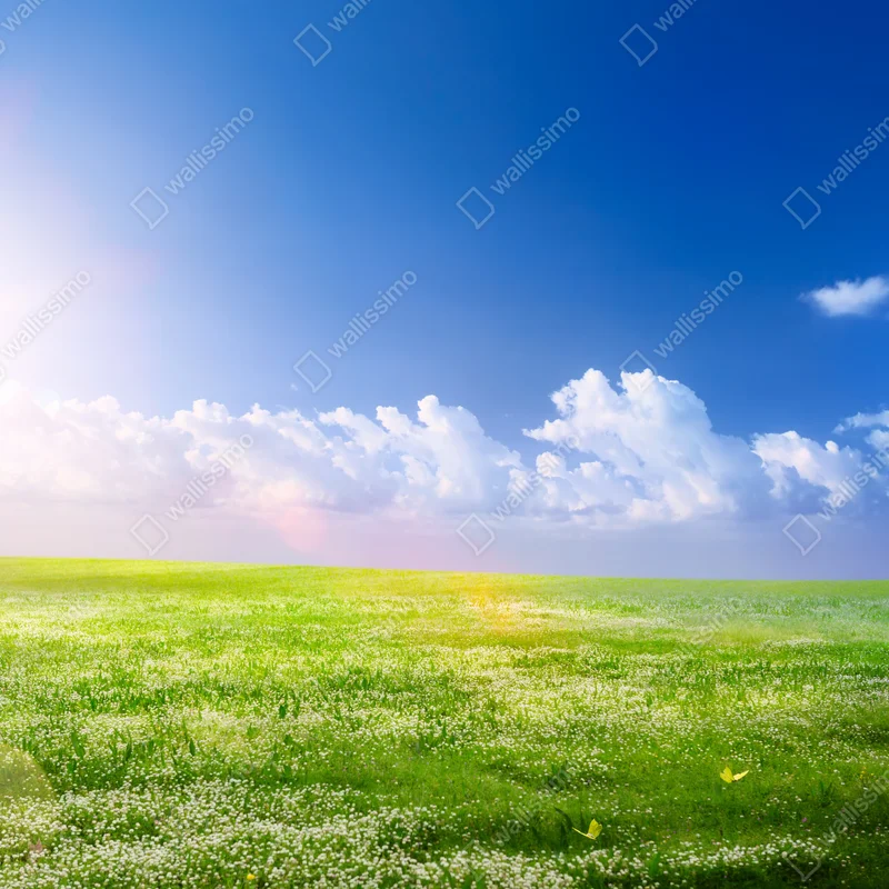 Kühlschrankaufkleber sonnige frühlingswiese unter blauem himmel Kühlschrankaufkleber sonnige frühlingswiese unter blauem himmel