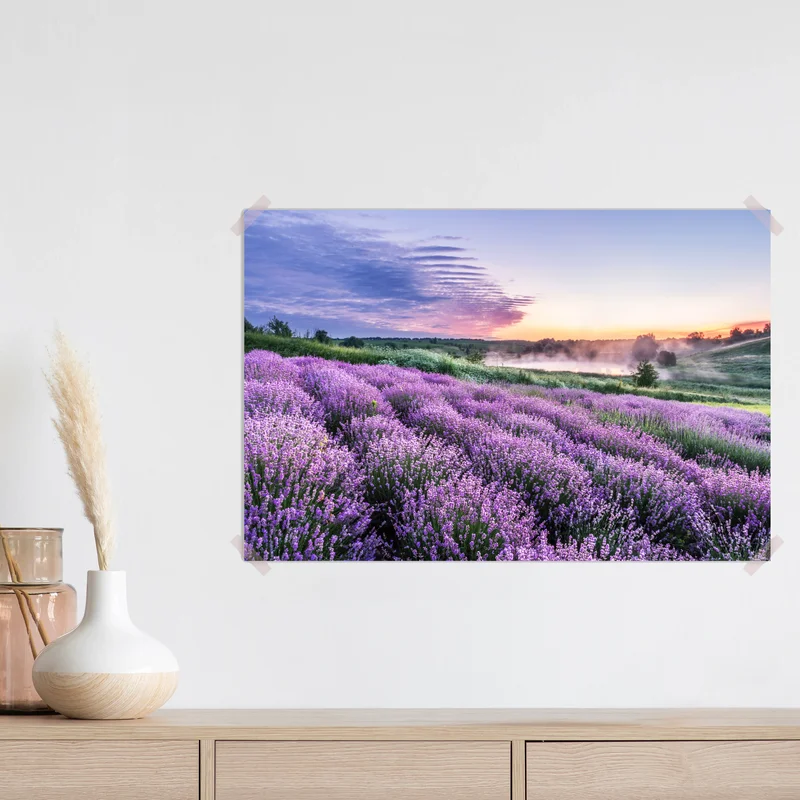 Poster lavendelfeld im dämmerlicht • Poster bei Wallnifity® Poster lavendelfeld im dämmerlicht • Poster bei Wallnifity®