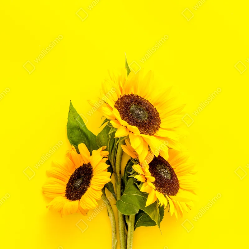 Leinwandbild leuchtender sonnenblumenstrauß auf gelbem hintergrund Leinwandbild leuchtender sonnenblumenstrauß auf gelbem hintergrund