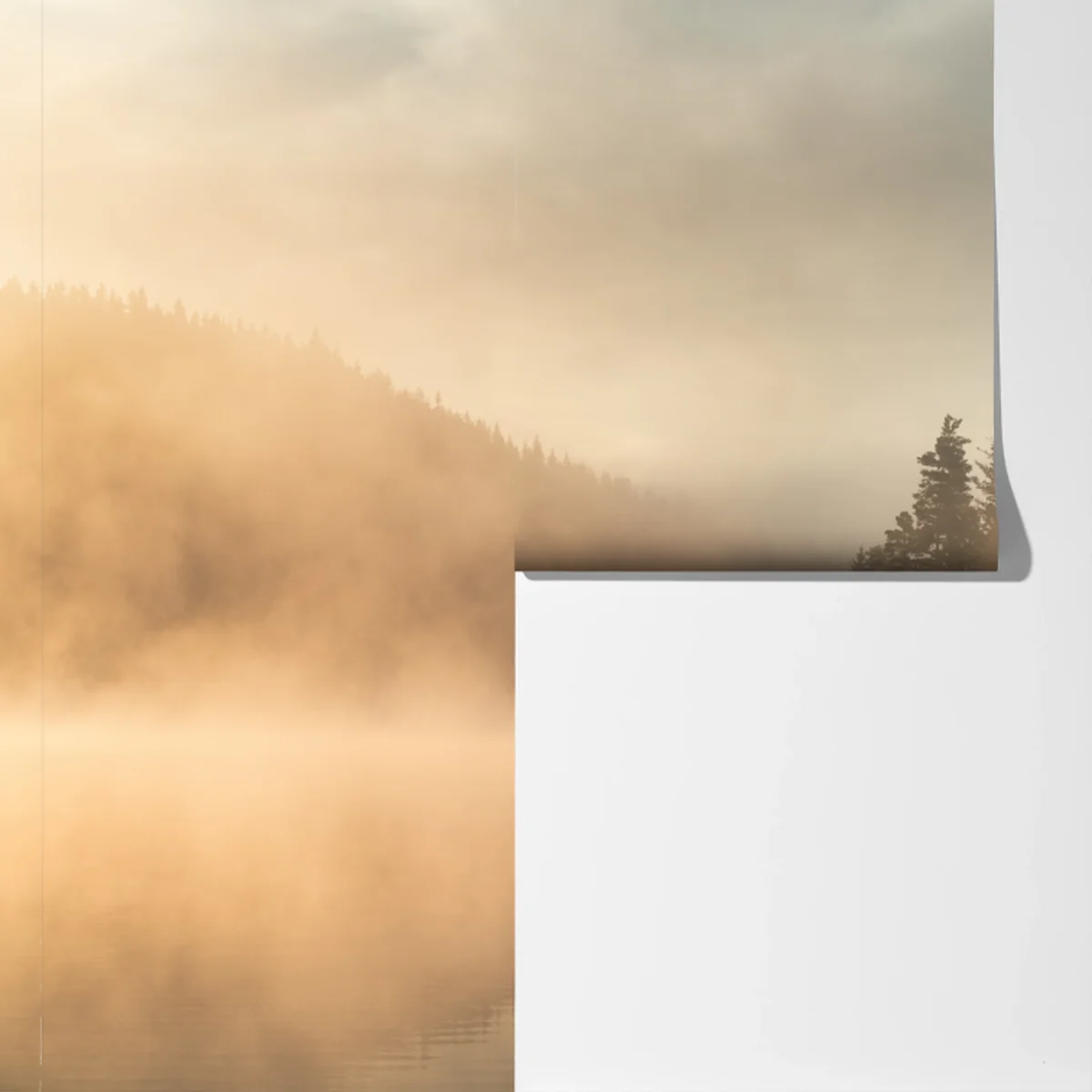 Fototapete nebliger sonnenaufgang über waldsee Fototapete nebliger sonnenaufgang über waldsee