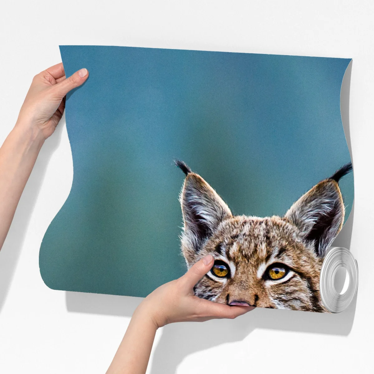 Fototapete majestätischer luchs in natürlichem habitat Fototapete majestätischer luchs in natürlichem habitat