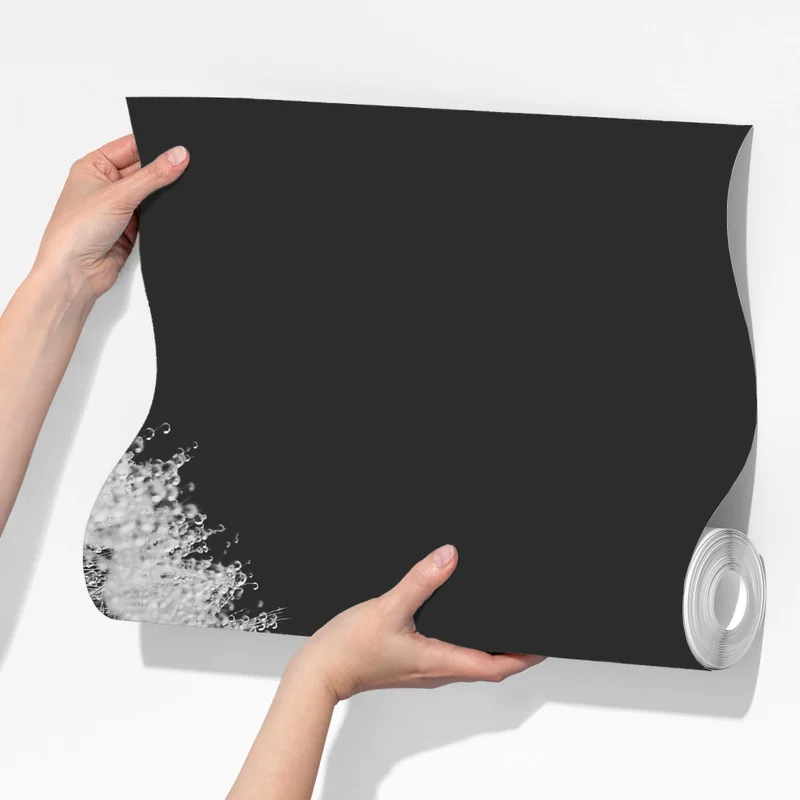 Fototapete zarter löwenzahn in monochrom Fototapete zarter löwenzahn in monochrom