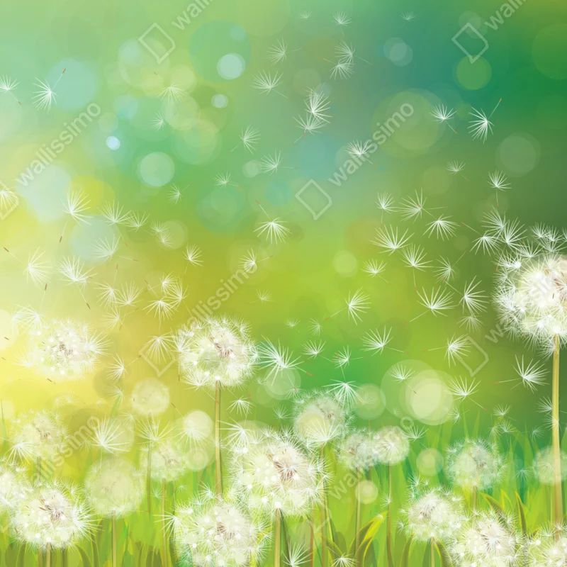 Repositionierbarer Aufkleber frühlingswiese mit löwenzahn Repositionierbarer Aufkleber frühlingswiese mit löwenzahn