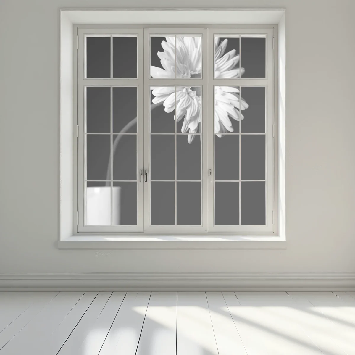 Fensteraufkleber weiße gerbera vor schwarzem hintergrund Fensteraufkleber weiße gerbera vor schwarzem hintergrund