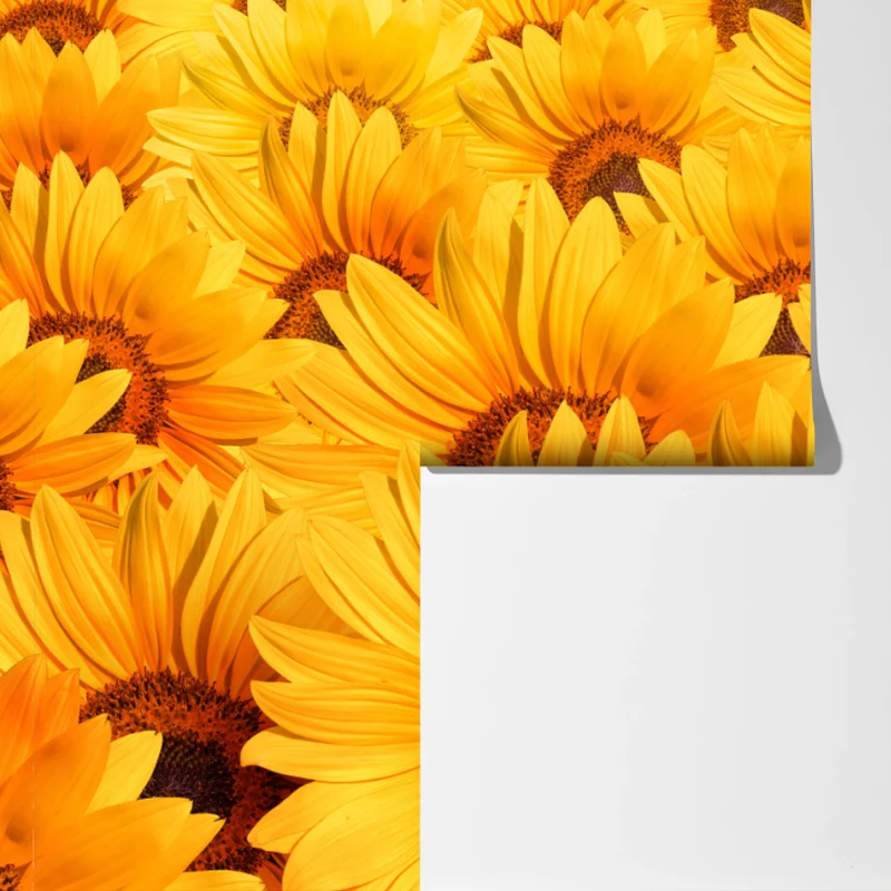 Fototapete goldenes sonnenblumenfeld Fototapete goldenes sonnenblumenfeld