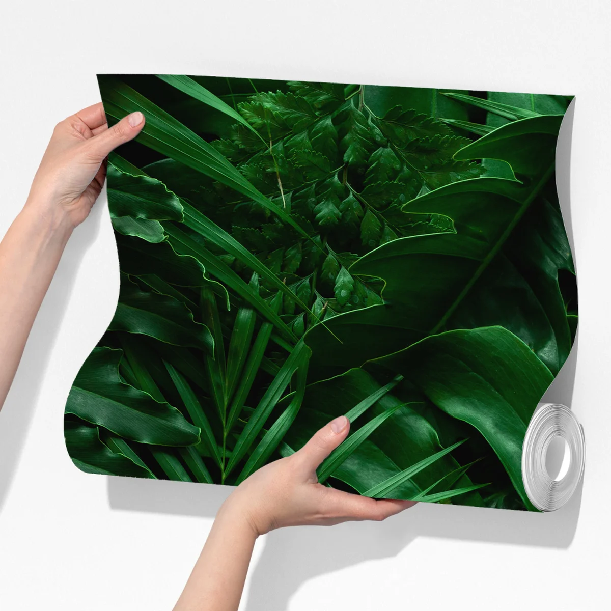 Fototapete üppige tropische blätter Fototapete üppige tropische blätter