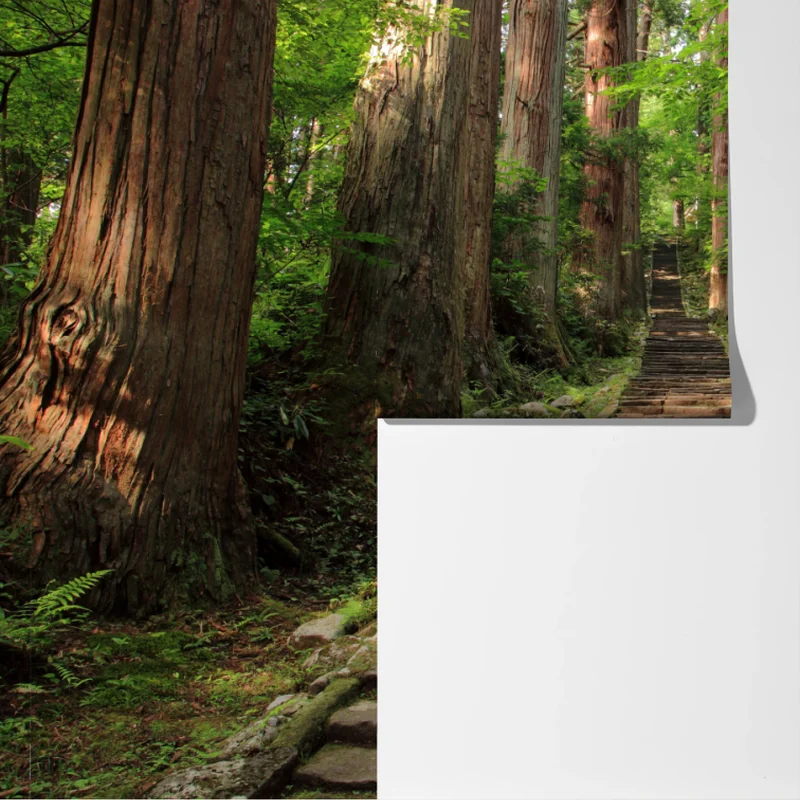 Fototapete steinne treppe im alten wald Fototapete steinne treppe im alten wald