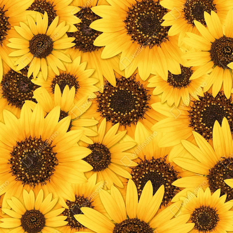 Türaufkleber goldene sonnenblumen Türaufkleber goldene sonnenblumen