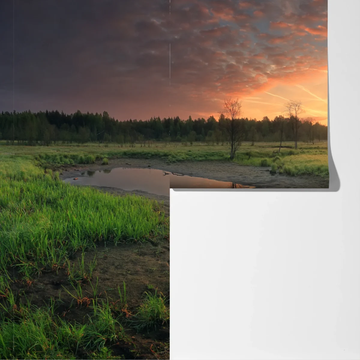 Fototapeta zachód słońca nad spokojną łąką Fototapeta zachód słońca nad spokojną łąką