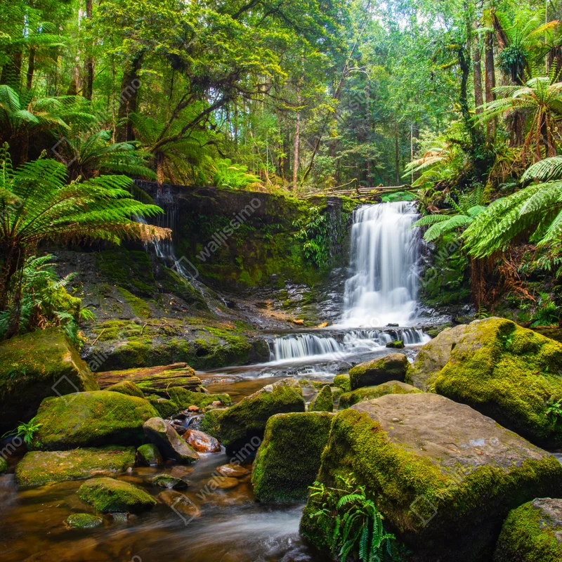 Leinwandbild üppiger waldwasserfall Leinwandbild üppiger waldwasserfall