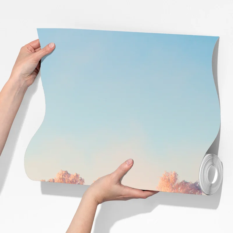 Fototapete winterlicher sonnenaufgang über einer frostigen wiese Fototapete winterlicher sonnenaufgang über einer frostigen wiese