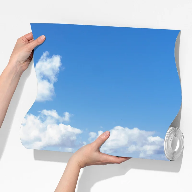 Fototapete küstenweg mit hortensien, São Miguel, Azoren Fototapete küstenweg mit hortensien, São Miguel, Azoren