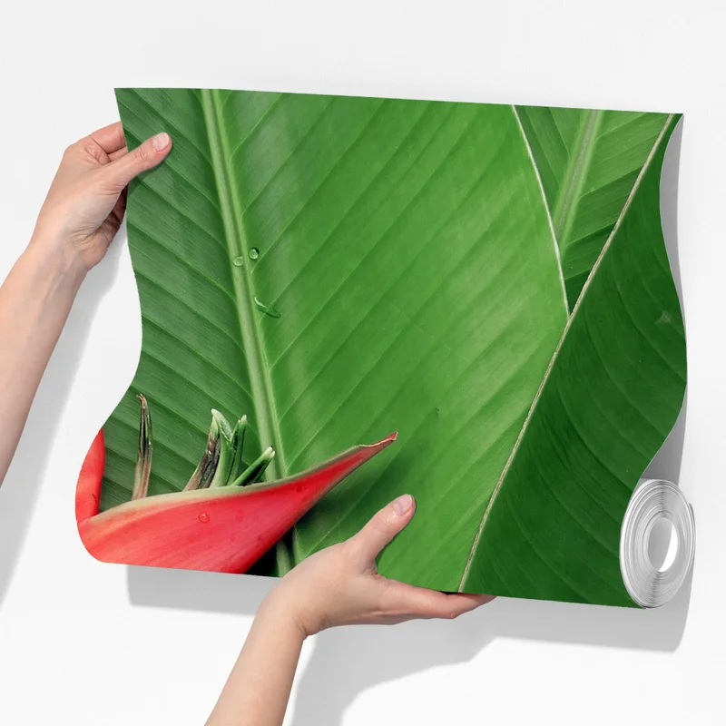 Fototapete leuchtende heliconia auf tropischen blättern Fototapete leuchtende heliconia auf tropischen blättern