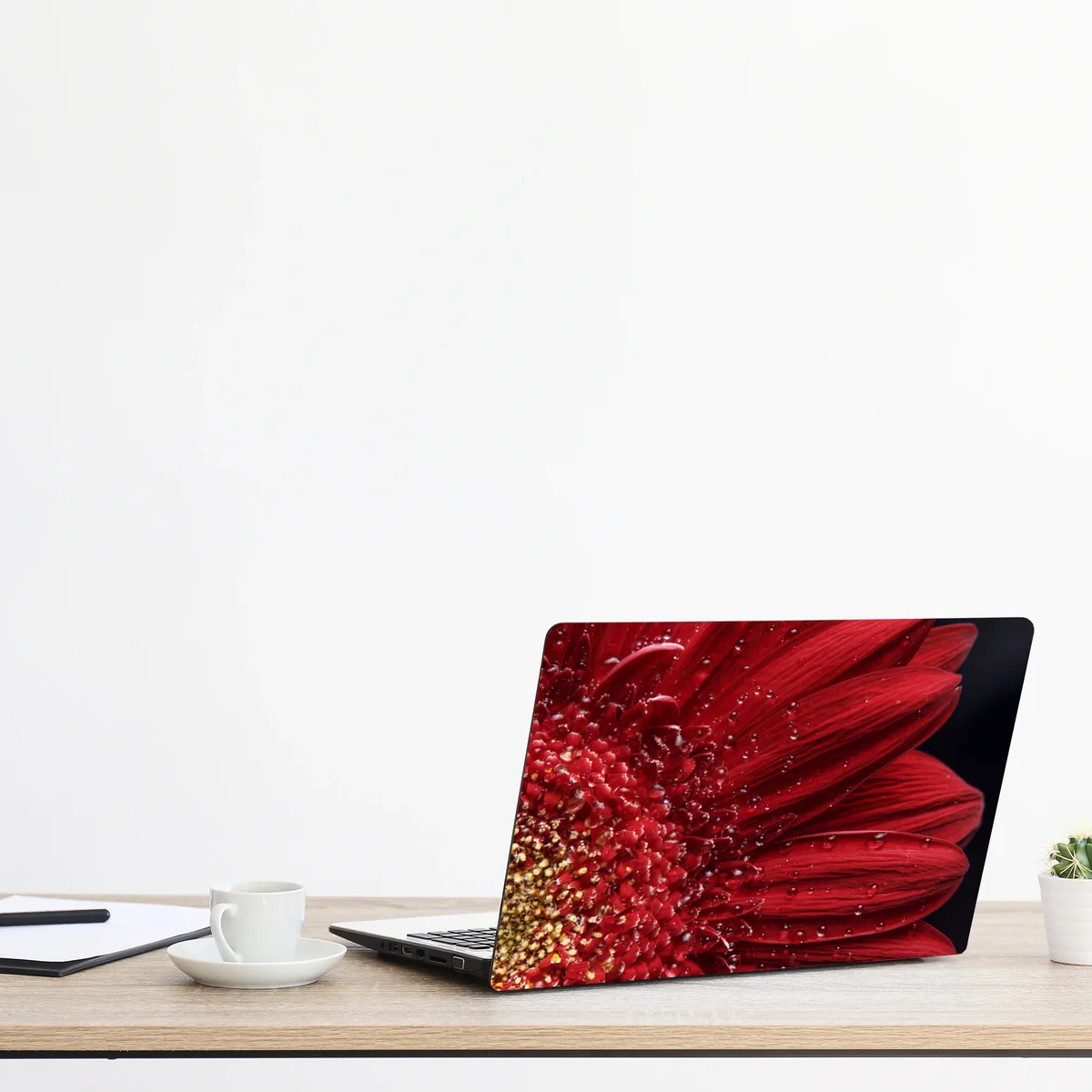 Naklejka na laptopa czerwona gerbera makro z kroplami rosy Naklejka na laptopa czerwona gerbera makro z kroplami rosy