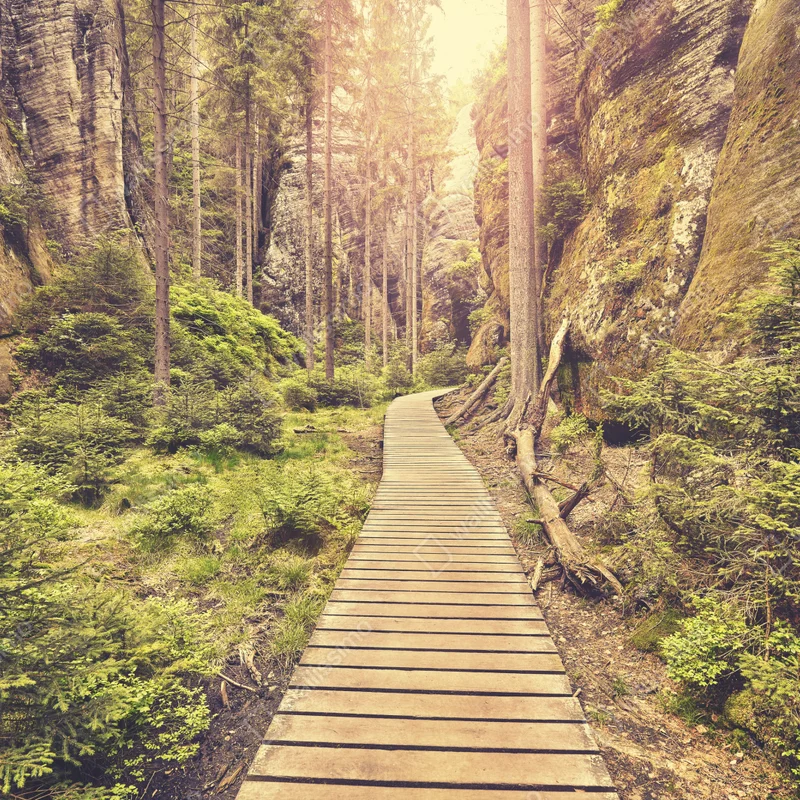 Fensteraufkleber sonniger holzsteg in Adrspach Teplice Fensteraufkleber sonniger holzsteg in Adrspach Teplice