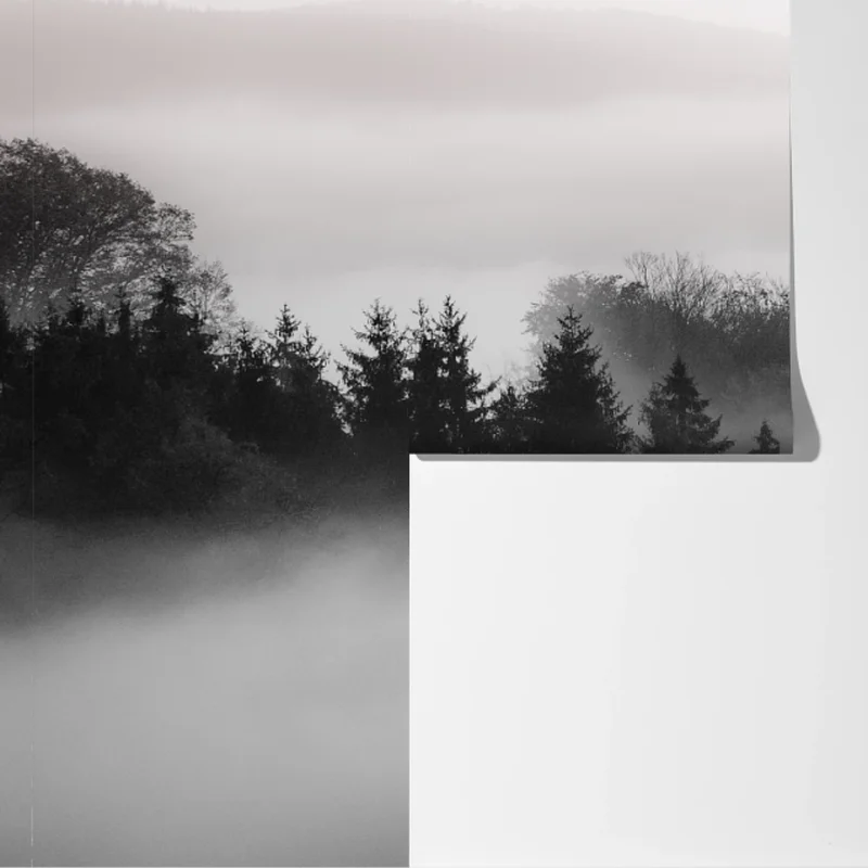 Fototapeta mglisty las w odcieniach szarości Fototapeta mglisty las w odcieniach szarości