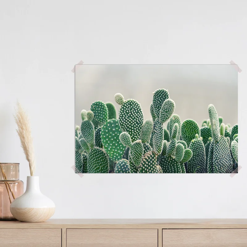 Poster nahaufnahme eines opuntienkaktus Poster nahaufnahme eines opuntienkaktus