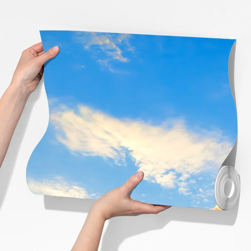 Fototapete sonnenaufgang über violetter wildblumenwiese Fototapete sonnenaufgang über violetter wildblumenwiese