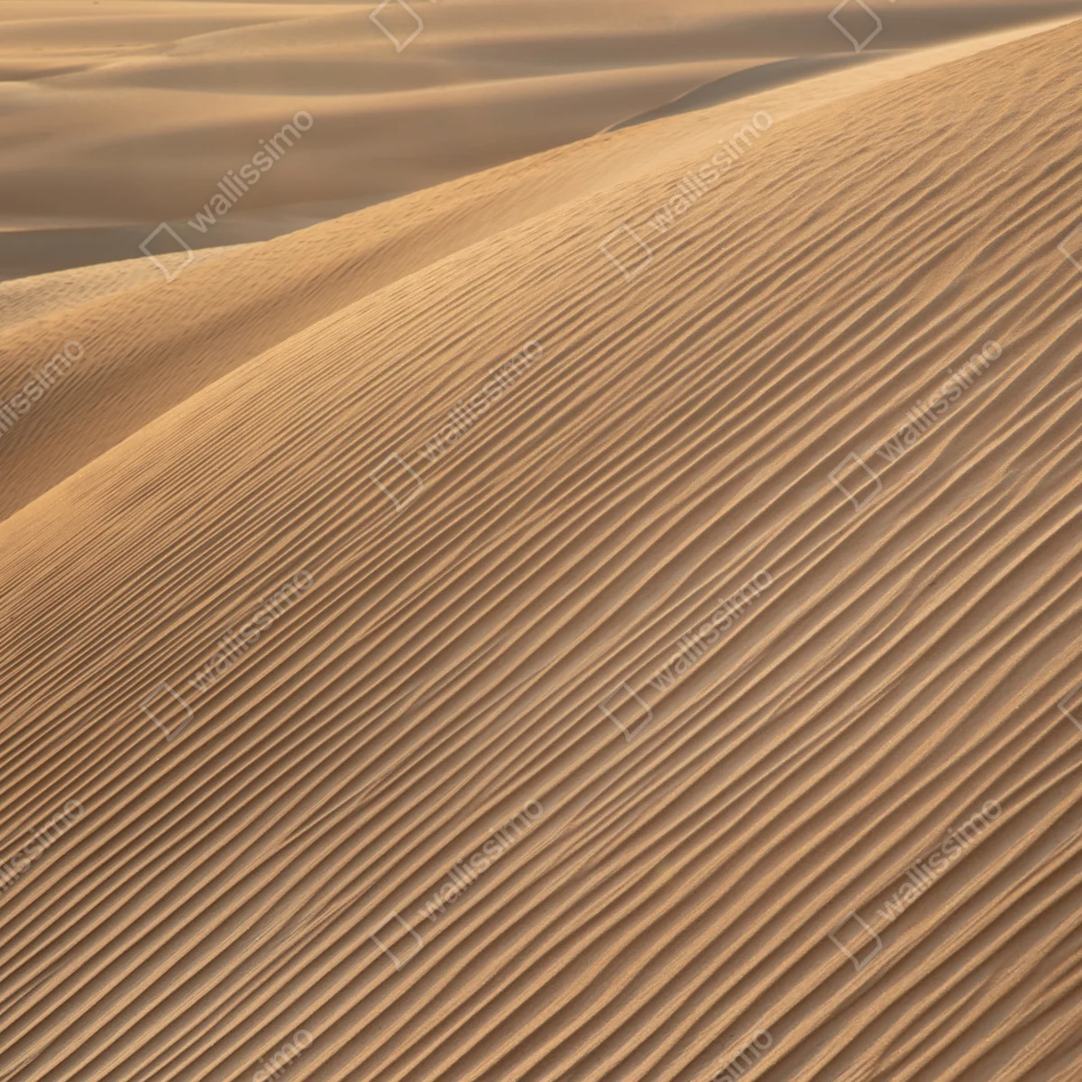 Schrankaufkleber goldene sanddünen minimalistisches landschaftsbild Schrankaufkleber goldene sanddünen minimalistisches landschaftsbild