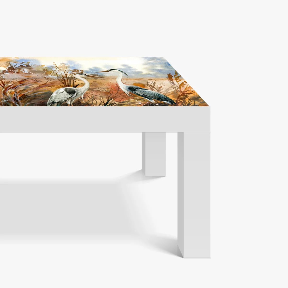 Tischaufkleber und Schreibtischaufkleber zwei reiher im herbstlichen sumpf Tischaufkleber und Schreibtischaufkleber zwei reiher im herbstlichen sumpf