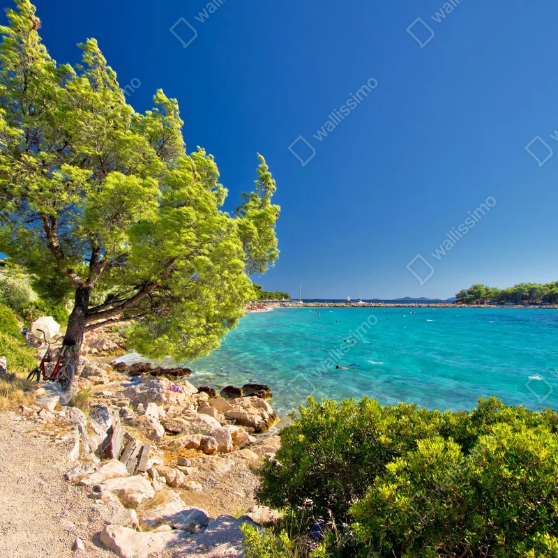 Fototapeta idylliczna turkusowa plaża na wyspie Murter Fototapeta idylliczna turkusowa plaża na wyspie Murter