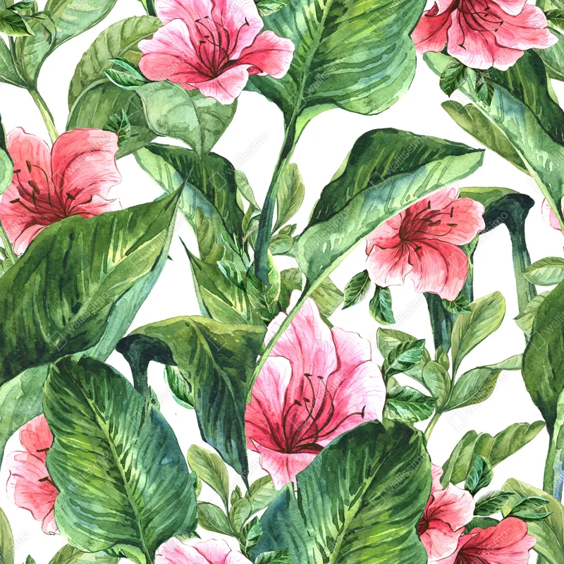 Fototapete rosa aquarell blumen botanikmotiv Fototapete rosa aquarell blumen botanikmotiv