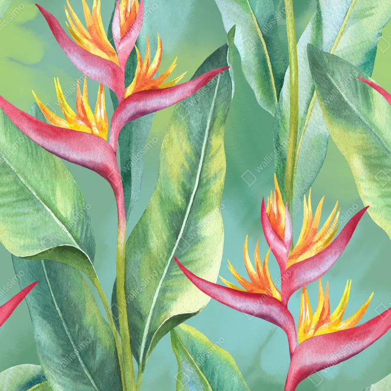 Poster aquarell heliconia botanisches muster • Poster bei Wallnifity® Poster aquarell heliconia botanisches muster • Poster bei Wallnifity®