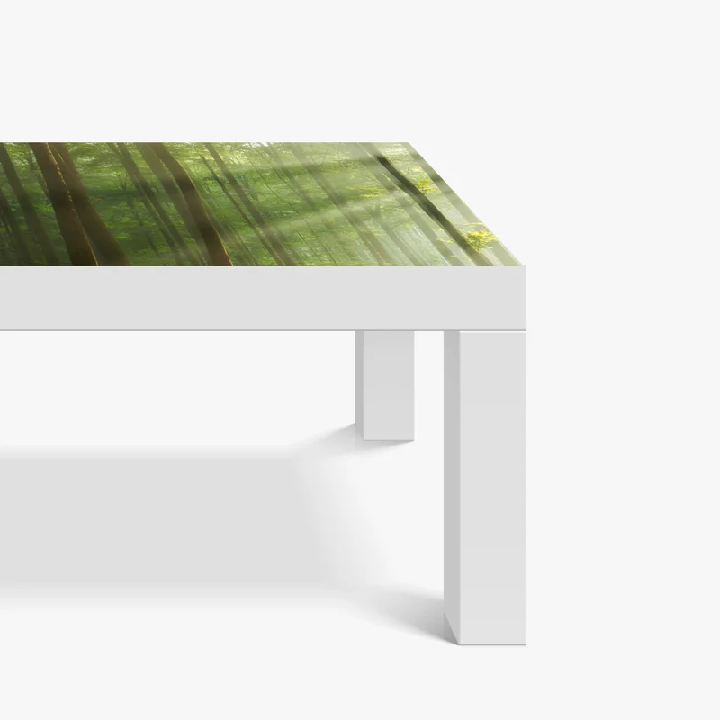 Tischaufkleber und Schreibtischaufkleber sonniger morgenwald