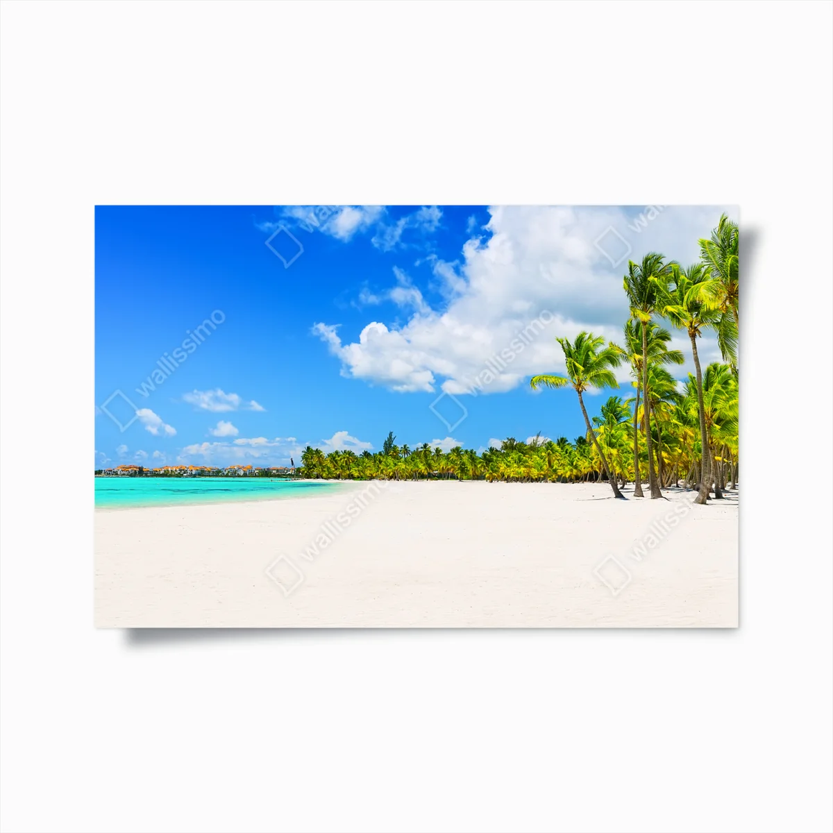 Poster tropischer strand in Punta Cana • Poster bei Wallnifity® Poster tropischer strand in Punta Cana • Poster bei Wallnifity®