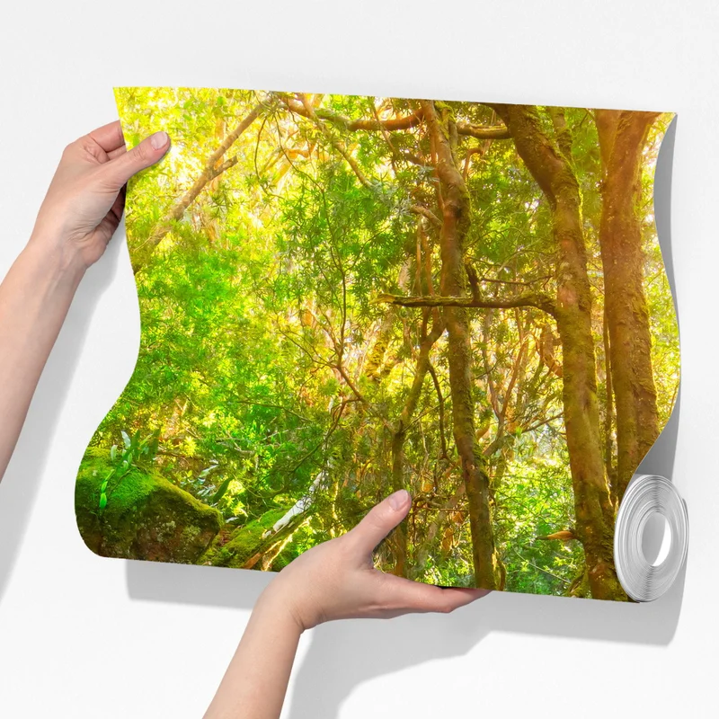 Fototapete sonniger pfad im regenwald der Tasman-Halbinsel, Tasmanien Fototapete sonniger pfad im regenwald der Tasman-Halbinsel, Tasmanien